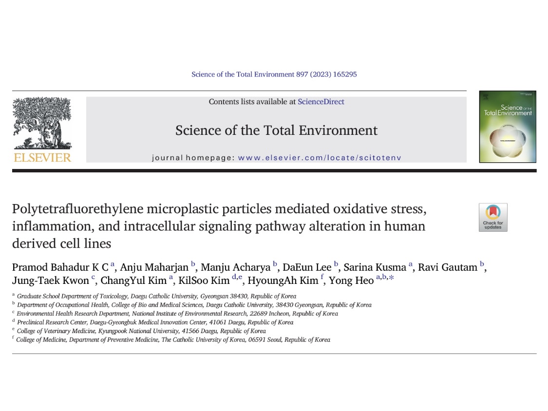 대구가톨릭대학교 프로그램 사진 5
